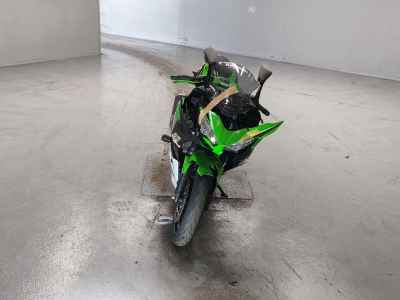 Kawasaki Ninja 250 2021