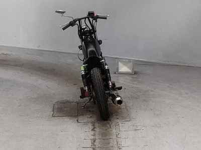 Suzuki GrassTracker Bigboy
