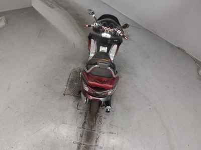 Honda Forza Z 2007