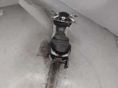 Honda Forza Z 2005
