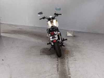 Kawasaki Estrella RS