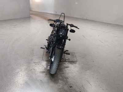 Harley-Davidson Sportster Forty-Eight XL1200X 2014