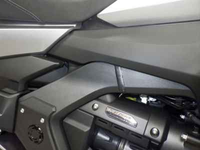 Honda GL1800 Gold Wing Tour DCT 2025