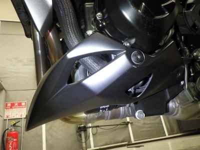 Kawasaki Z1000 2021