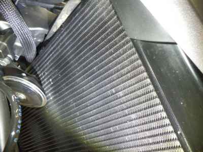 Kawasaki Z1000 2021
