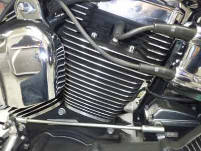 Harley-Davidson Deluxe FLSTN1580 2008
