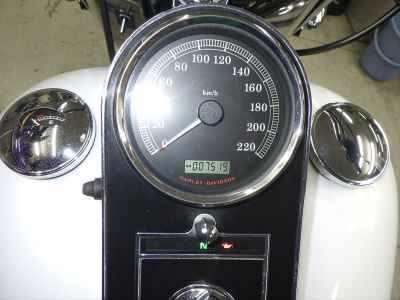 Harley-Davidson Deluxe FLSTN1580 2008