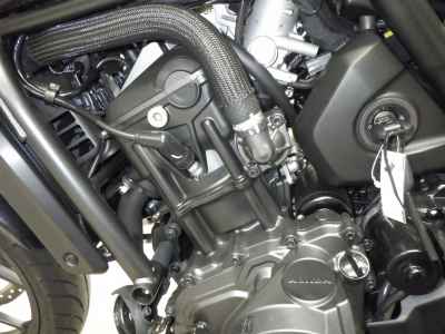 Honda Rebel T CMX1100 DCT 2024