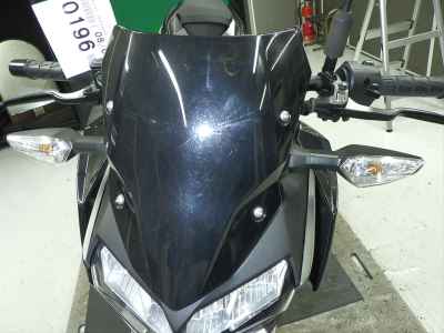 Kawasaki Z250 2022