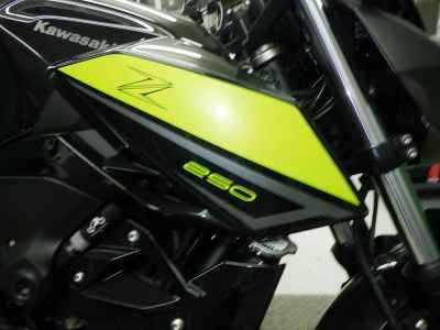 Kawasaki Z250 2022