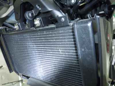 Kawasaki Z250 2022