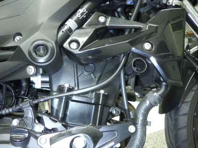 Kawasaki Z250 2022