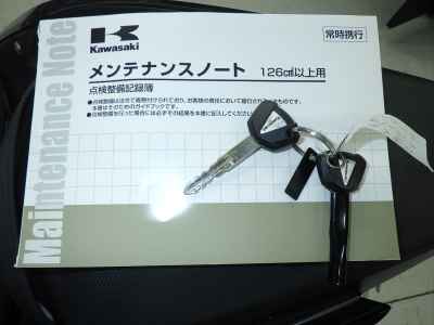 Kawasaki Z250 2022