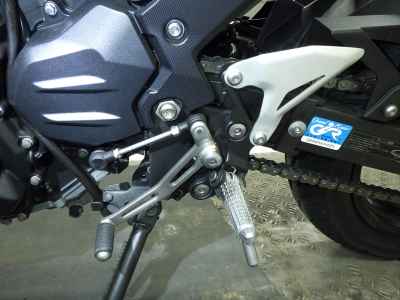 Kawasaki Z250 2022