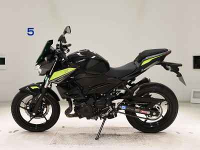 Kawasaki Z250 2022