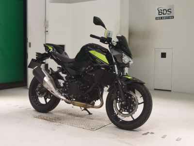 Kawasaki Z250 2022