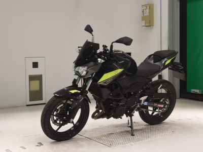 Kawasaki Z250 2022