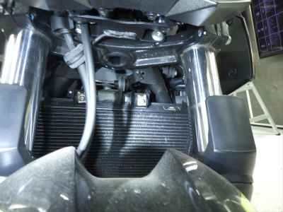 Kawasaki Z250 2022