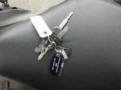 Honda Rebel CMX250 2023