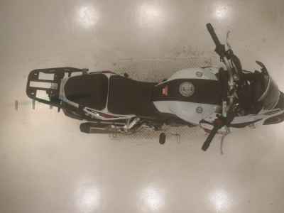 Benelli TRK251 2022