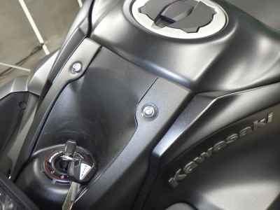 Kawasaki Z900 2021