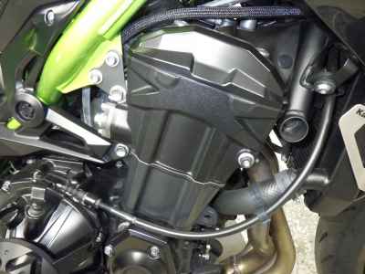 Kawasaki Z900 2021