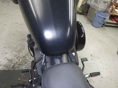 Harley-Davidson Sportster Iron XL883N 2021