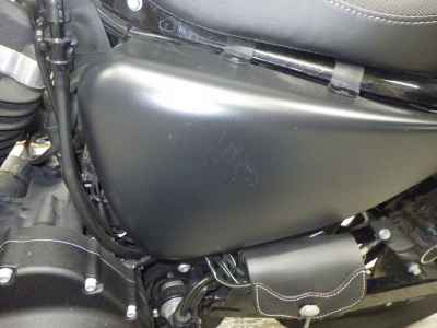 Harley-Davidson Sportster Iron XL883N 2021