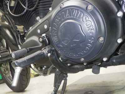 Harley-Davidson Sportster Iron XL883N 2021