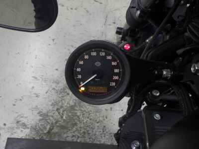 Harley-Davidson Sportster Iron XL883N 2021