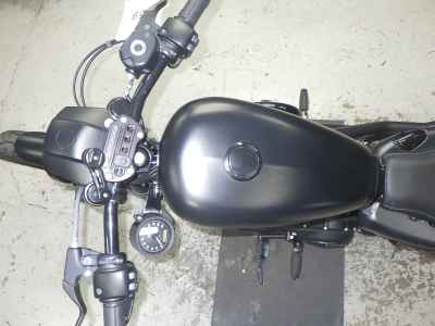 Harley-Davidson Sportster Iron XL883N 2021