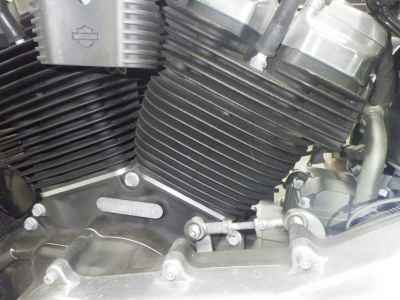 Harley-Davidson Softail FXST1750 2021