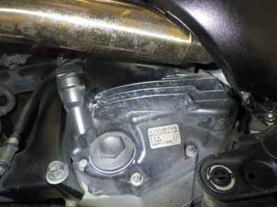 Honda Forza Z 2005