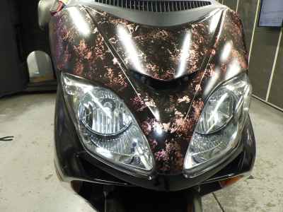 Honda Forza Z 2005