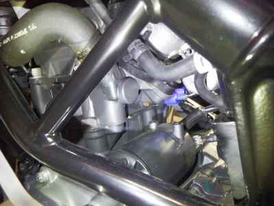 KTM RC 390 2024