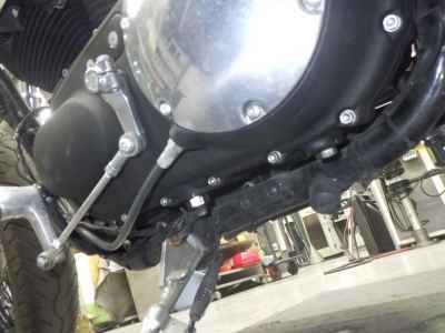 Harley-Davidson Sportster Custom XL1200C 2012