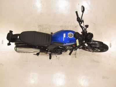 Honda CL500 2025