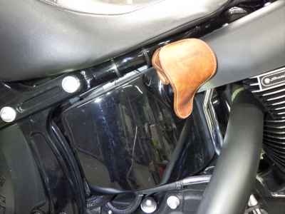 Harley-Davidson Slim S FLSS1800 2016