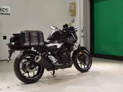 Yamaha MT-25 2016