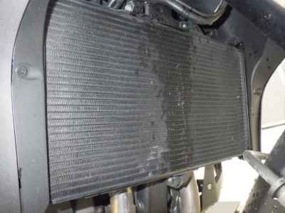Honda NT1100 2022