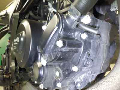 Benelli Leoncino 250 2022