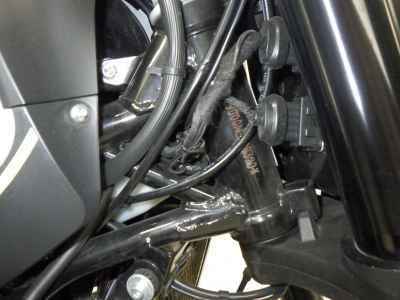 Benelli Leoncino 250 2022