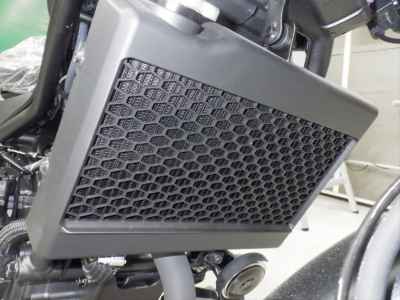 Honda Rebel CMX1100 2025