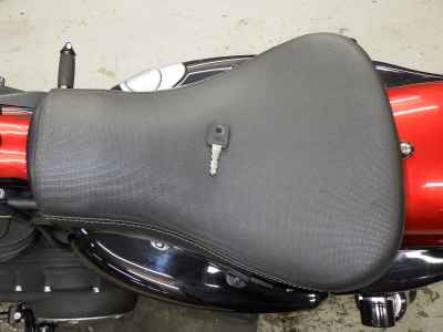 Harley-Davidson XL883N 2013