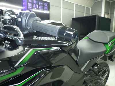 Kawasaki Ninja 1000SX 2024