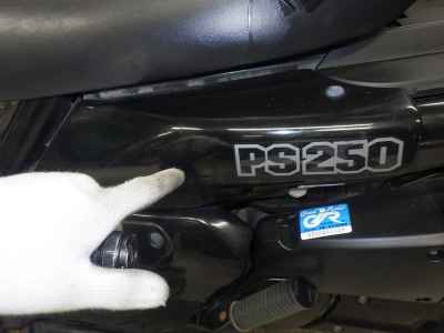 Honda PS250 Big Ruckus 2006