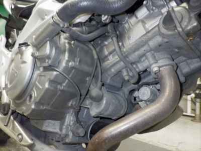 Suzuki Gladius SFV400 2010