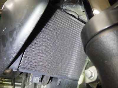 Suzuki Gladius SFV400 2014