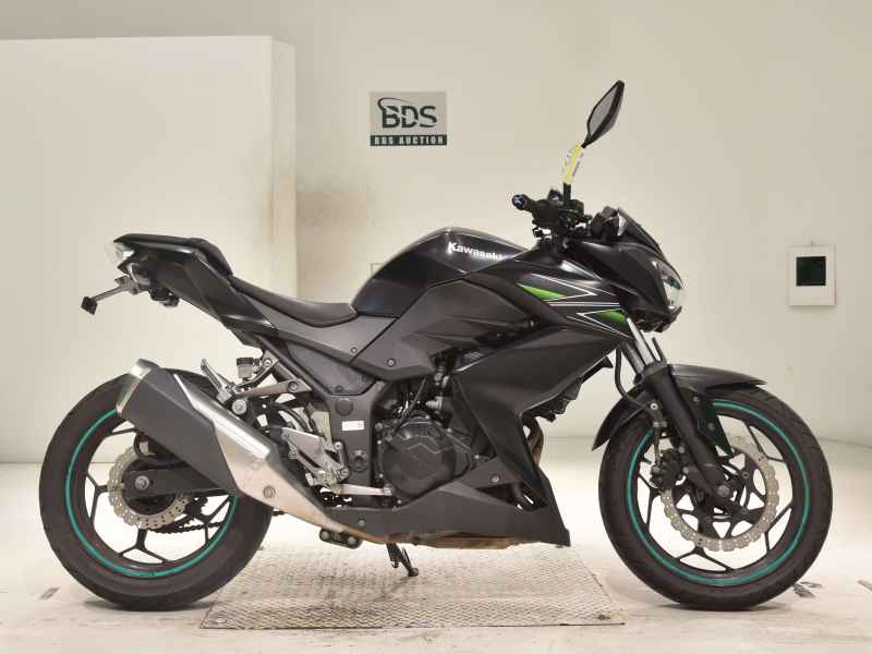 Kawasaki Z250 2013
