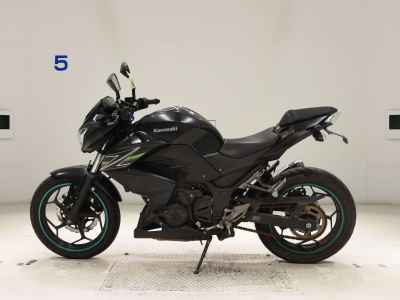 Kawasaki Z250 2013